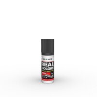 Real Colors Civil