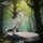 Owls aus Heart of the Forest von The Printing Goes Ever On