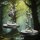 Will-o-Wisps aus Heart of the Forest von The Printing Goes Ever On