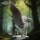 Creature Bundle - Heart of the Forest aus Heart of the Forest von The Printing Goes Ever On