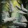 Logs, Stumps and Rocks aus Heart of the Forest von The Printing Goes Ever On