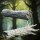 Logs, Stumps and Rocks aus Heart of the Forest von The Printing Goes Ever On