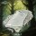 Camp Terrain Props Set aus Heart of the Forest von The Printing Goes Ever On