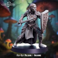 Fey-Elf Paladin - Orianne aus Lullaby of Stones von The...