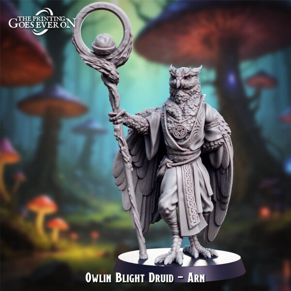 Owlin Blight Druid - Arn aus Lullaby of Stones von The Printing Goes Ever On