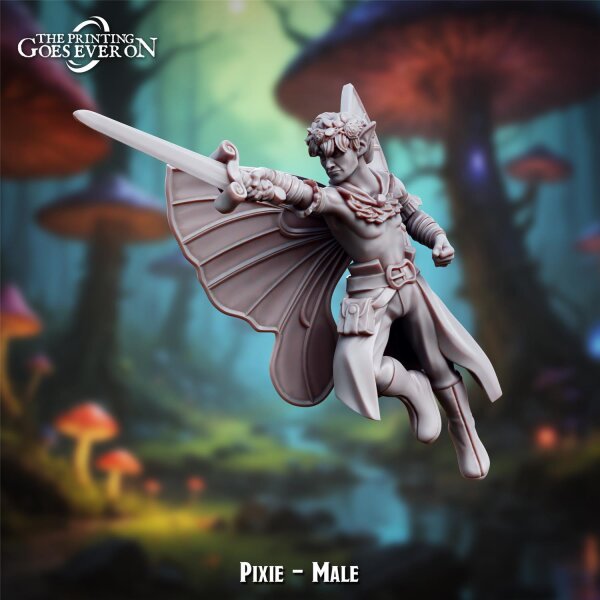 Pixie - Male aus Lullaby of Stones von The Printing Goes Ever On