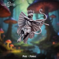 Pixie - Female aus Lullaby of Stones von The Printing...