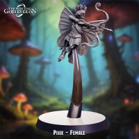 Pixie - Female aus Lullaby of Stones von The Printing...