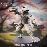Tabaxi Ninja - Mizuki aus Slayer Masquerade von The...