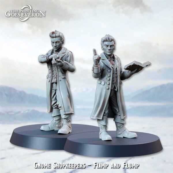Gnome Shopkeepers - Flimp and Flump aus Frostbound Fate von The Printing Goes Ever On