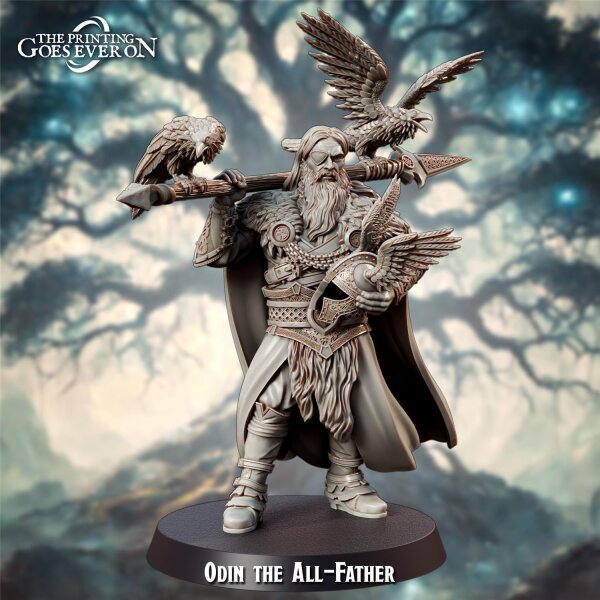 Odin the All-Father aus Asgard Amusement von The Printing Goes Ever On
