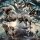 Creature Bundle - Asgard Amusement aus Asgard Amusement von The Printing Goes Ever On