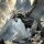 Creature Bundle - Leashes of Dominion aus Lashes of Dominion von The Printing Goes Ever On