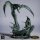 The Hollow Eclipse, Battle of dragons von Rescale Miniatures aus Deepwood Hollow