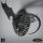 The Black Dragons hunt von Rescale Miniatures aus Deepwood Hollow