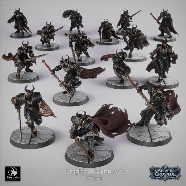 Pack Knights of Bahamut (32mm base) Set von Rescale Miniatures aus The Silver Crusade