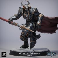 Pack Knights of Bahamut (32mm base) Set von Rescale Miniatures aus The Silver Crusade