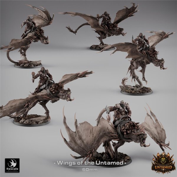Pack Wyvern, Wings of the Untamed (60mm base) Set von Rescale Miniatures aus Rite of the Untamed