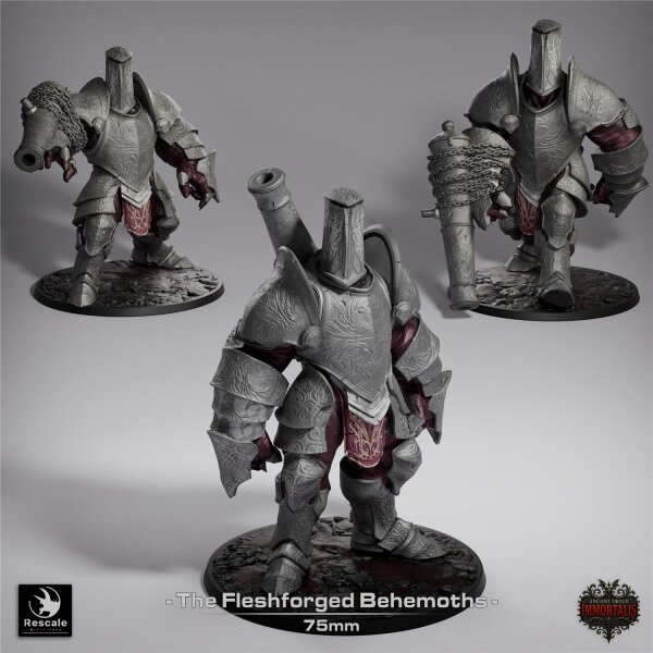 Pack Fleshforged Behemoth (75mm base) Set von Rescale Miniatures aus Ancient Order Immortalis