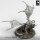 Pack Grogbann (3 inches & 4 inches) Set von Rescale Miniatures aus Unchained Vol. 2