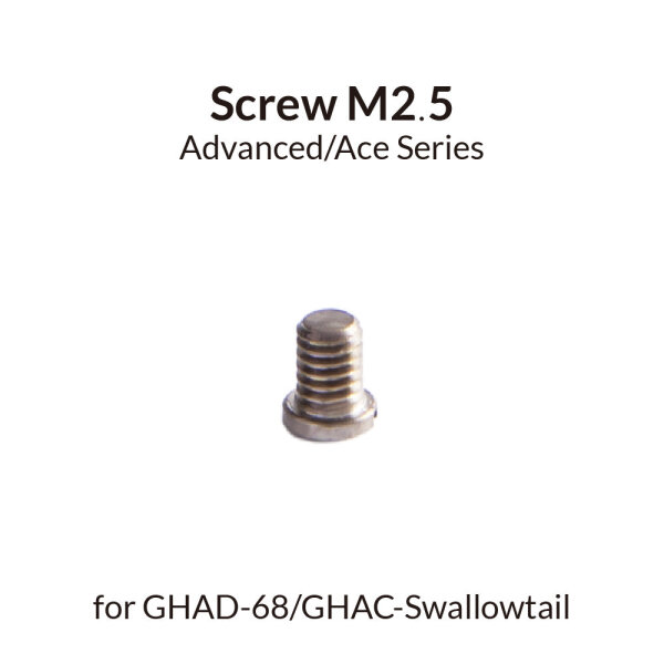 Gaahleri 41291 Screw M2 5 for 68 & Sw