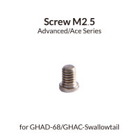 Gaahleri 41291 Screw M2 5 for 68 & Sw
