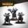 Warmachine: Dusk Fane of Nyrro Army Box – Death’s Whisper
