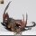 Magma Dragon - Adult (75mm base) von Rescale Miniatures aus Crooked Crowns