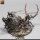 Goblin Siege Crawler (130mm base) von Rescale Miniatures aus Crooked Crowns
