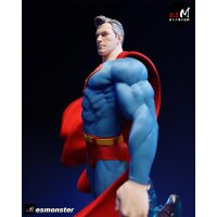 Invincible Steel Sky Hero | ESMonster