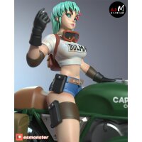 Bulma P1 | ESMonster