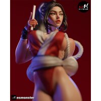 Red Kunoichi Fighter | ESMonster