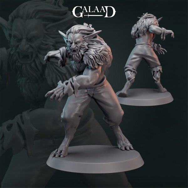 Wulfen Norse von Galaad Miniatures aus Norse Fighter Release + Modular