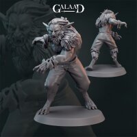 Wulfen Norse von Galaad Miniatures aus Norse Fighter...