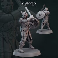 Norse Fighter Release + Modular Set von Galaad Miniatures