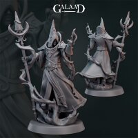 Elf Wizard von Galaad Miniatures aus January 2025 Release