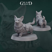 Corgi Adventurer von Galaad Miniatures aus Rangers Release