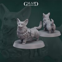 Rangers Release Set von Galaad Miniatures