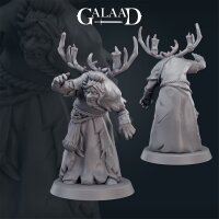 Cursed Witch Set von Galaad Miniatures