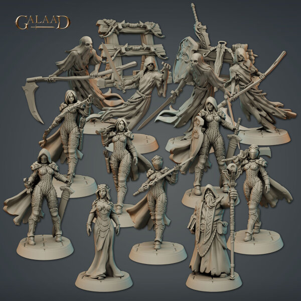December Knight Specter Wizard Princess Set von Galaad Miniatures