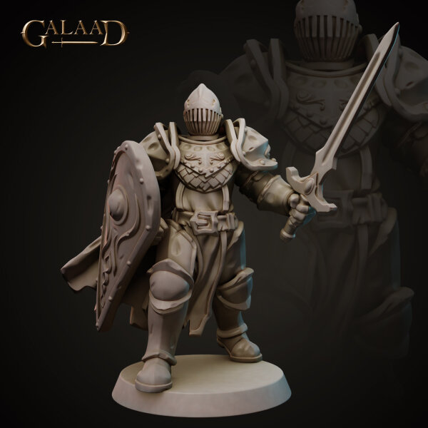 Knight Sword and Shield - Modular Head von Galaad Miniatures aus Knights Release - Modular Heads
