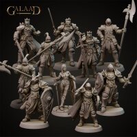 Knights Release - Modular Heads Set von Galaad Miniatures