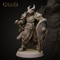 Knights Release - Modular Heads Set von Galaad Miniatures