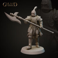 Knights Release - Modular Heads Set von Galaad Miniatures