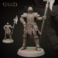 Knights Release - Modular Heads Set von Galaad Miniatures