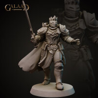 Knights Release - Modular Heads Set von Galaad Miniatures