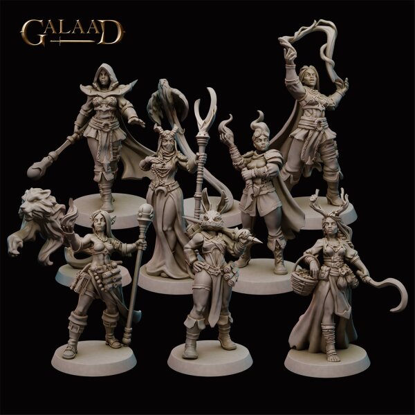 Mages and Fighters Female Characters Set von Galaad Miniatures