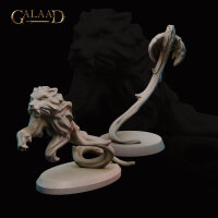 Mages and Fighters Female Characters Set von Galaad Miniatures