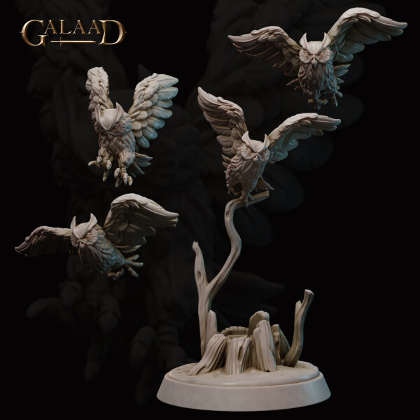 Owls von Galaad Miniatures aus Amazons and Nagas