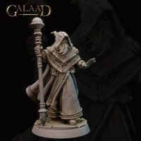 Wizard of the Queen von Galaad Miniatures aus Escort the...